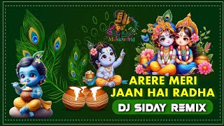 Arere Meri Jaan Hai Radha  New Style Dj Song  Electro Dance Music  Dj Siday Remix [upl. by Ahsyle]