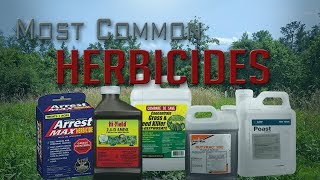 Five Most Common Food Plot Herbicides [upl. by Smoot59]