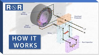 Refrigerator Compressor Starter  How it Works  Repair amp Replace [upl. by Annazus]