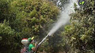 मिस्ट ब्लोअर व डस्टर और मोटरैस्ड स्प्रेयर  Mist Blower Duster and Motorized Sprayer [upl. by Hannis958]