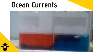 How changes in temperature create ocean currents  Ocean Stratification Demonstration [upl. by Atilek]