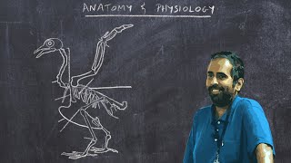 Basic Ornithology Avian Anatomy and Physiology [upl. by Dranal]