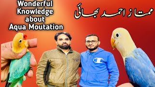 Mumtaz Ahmed bhai Disccuss About Aqua MoutationAqua B1Aqua B2Homozygot [upl. by Hairahs205]