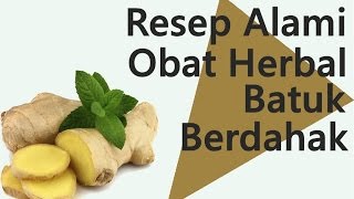 Resep Alami Obat Herbal Batuk Berdahak [upl. by Dorotea950]