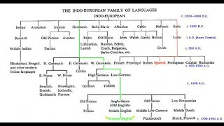 Indo European Language Family [upl. by Grega]