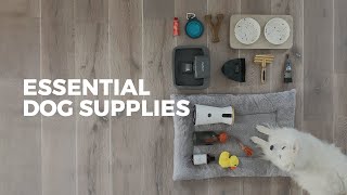 27 Items Every Dog Owner Should Have  ESSENTIAL SUPPLIES [upl. by Llecrep253]