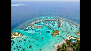 Maldives Centara Grand Island Resort amp Spa Malediven Whale Shark Turtle Sharks Beaches [upl. by Eirovi]