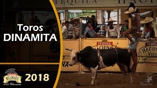 Puros TOROS DE REPARO  Campeonato Millonario THV 2018 [upl. by Gnuhp]