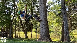 Faster Ways to Climb a Tree [upl. by Barabas534]