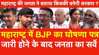 Maharashtra में BJP का घोषणा जारी होने केबाद Survey महाराष्ट्र की जनता ने बताया किसकी सरकार बनेगी [upl. by Enneira330]