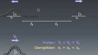 Esen Yayınları Animasyonları Atmalarda Yansıma ve İletim Hafif  Ağır Yay Dalgaları 10Sınıf [upl. by Anerys]
