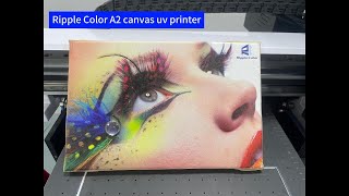 Ripple Color RC4050UV A2 Canvas printer [upl. by Ilario333]