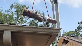 Craning a Huge fallen tree that has crushed a House tree treeremoval treeservice trees [upl. by Nachison]