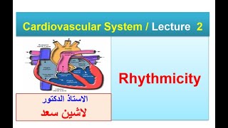 Rhythmicity Lashin Saadدلاشين سعد [upl. by Ecikram]