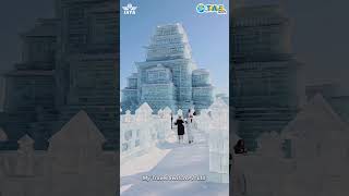 Harbin International Ice and Snow Sculpture Festival china harbin video ytshorts travel shorts [upl. by Sualokin]