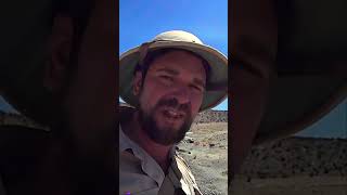 Other paleontologists shorts twitch fossils scienceoutreach education science [upl. by Jamil545]