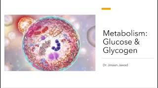 Metabolism Glucose amp Glycogen Catabolism amp Anabolism [upl. by Quackenbush]