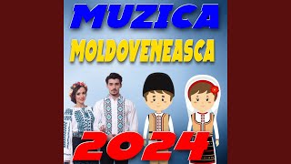 Muzica Moldoveneasca 2024 [upl. by Akiemehs725]