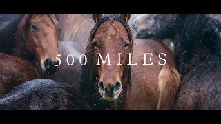 500 Miles  The Story of Ranchers and Horses 2017 [upl. by Airamahs574]