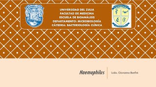 TEMA 8 Haemophilus [upl. by Erdua]