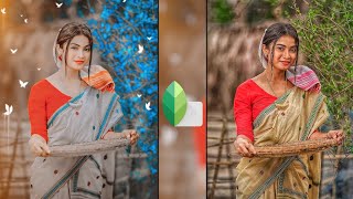 How to Make Your Photos Look Expensive Using Snapseed [upl. by Anirdnaxela]