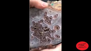 What A Beautiful And Unique Coyamito Pseudomorph Agate [upl. by Ynabla]