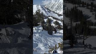 snowbird flyingsquirrelair contentgoblin👹 coolsong freeride [upl. by Llerruj]