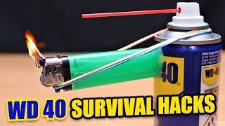 WD40 10 Survival Hacks And Uses [upl. by Fording]