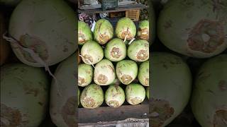 Fresh Coconut Water 😇🤗 Under microscope shorts experiment microscope [upl. by Lebatsirhc55]