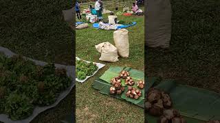 nalbari goalpara farmersmarket fruit [upl. by Eignav256]