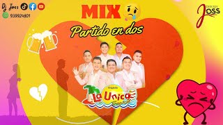 MIX PARTIDO EN DOS💔 LA UNICA TROPICAL🥳 MI MUNDO SIN ELLA NO SUFRIRÉ POR NADIE SERPIENTE DJ JOSS [upl. by Nuhs]