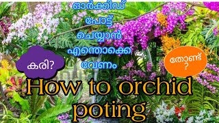 Testing Orchid Pots Do They Really Make a Difference [upl. by Keelin]