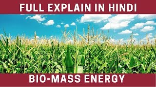 What Is BioMass  Full Explain In Hindi  Watch Now [upl. by Dody]