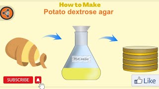 Potato Dextrose Agar PDA For fungi growth [upl. by Coussoule]