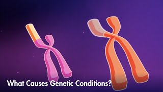 How mutations or variations can lead to genetic conditions [upl. by Snowman140]