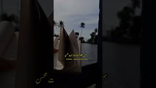 Hamin Maloom Tha Anjaame Mohabbat🥀 poetry aleezakanwaldiary sadpoetry shorts short shortvideo [upl. by Germayne]