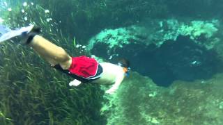 Swimming at Ichetucknee Springs [upl. by Lukash]