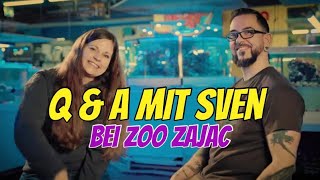 Q amp A mit Sven bei Zoo Zajac  ein interessantes Interview svensterratorium3519 zoozajac [upl. by Frasier]