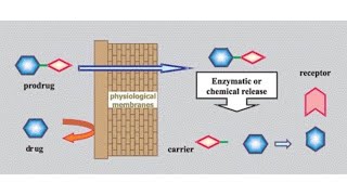 Prodrug51 [upl. by Chambers]