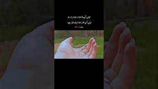 ishq shortsfeed love viralvideo publicrection sufimusic trending trendingshorts [upl. by Eizzik]