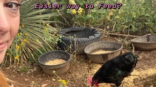 Rodent Proof Chicken Feeder Make life easier [upl. by Annabela]