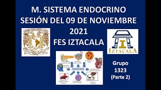 M Sistema Endocrino Sesión del Martes 09 de Noviembre del 2021 2ª Parte [upl. by Atews451]