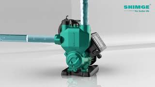 Shimge PWF The Smart Choice for Automatic SelfPriming Pumps [upl. by Godbeare606]