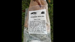 how i use logwood dye for traps [upl. by Goodden]