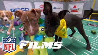 Behind the Scenes of the Puppy Bowl  NFL Films Presents [upl. by Leighland]