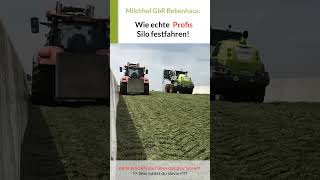 Silo festfahren Hier darf KEIN Silierwagen über das Grassilo fahren [upl. by Kirsteni]