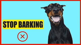 Noise Only Dogs Can Hear To Stop Barking [upl. by Slayton369]