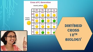 What is Dihybrid Cross NCERTLawsOfIndependentAssortmentGeneticsandEvolution12thBiology [upl. by Melamie]