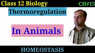 Thermoregulation In Mammals Fully Explained  Class 12 Biology [upl. by Erroll480]