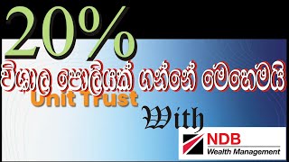 අවධානමක් රහිතව විශාල පොලියක් Unit trust Money fund With NDB welth Management [upl. by Adnarem]